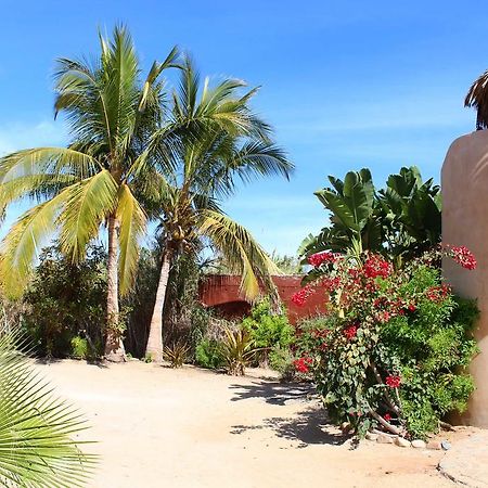ホテルFlora Del Mar トドス・サントス エクステリア 写真