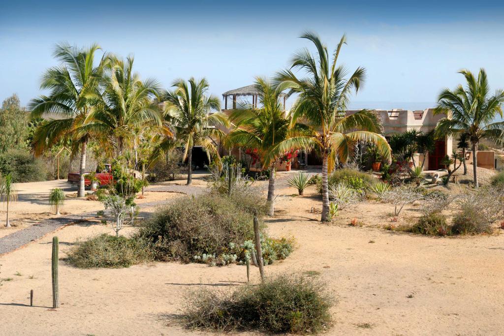 ホテルFlora Del Mar トドス・サントス エクステリア 写真